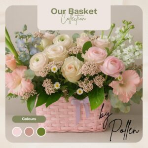 our basket collection